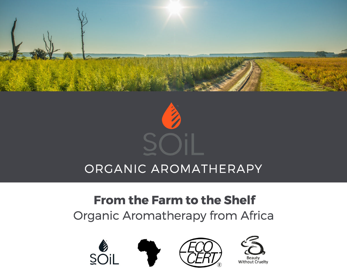 SOiL First Aid Essential Oil Trio - SOiL Organic Aromatherapy