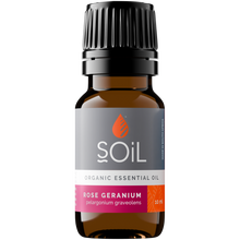 Organic Rose Geranium Essential Oil (Pelargoneum Graveolens) 10ml