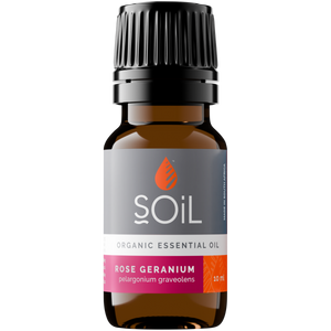 Organic Rose Geranium Essential Oil (Pelargoneum Graveolens) 10ml