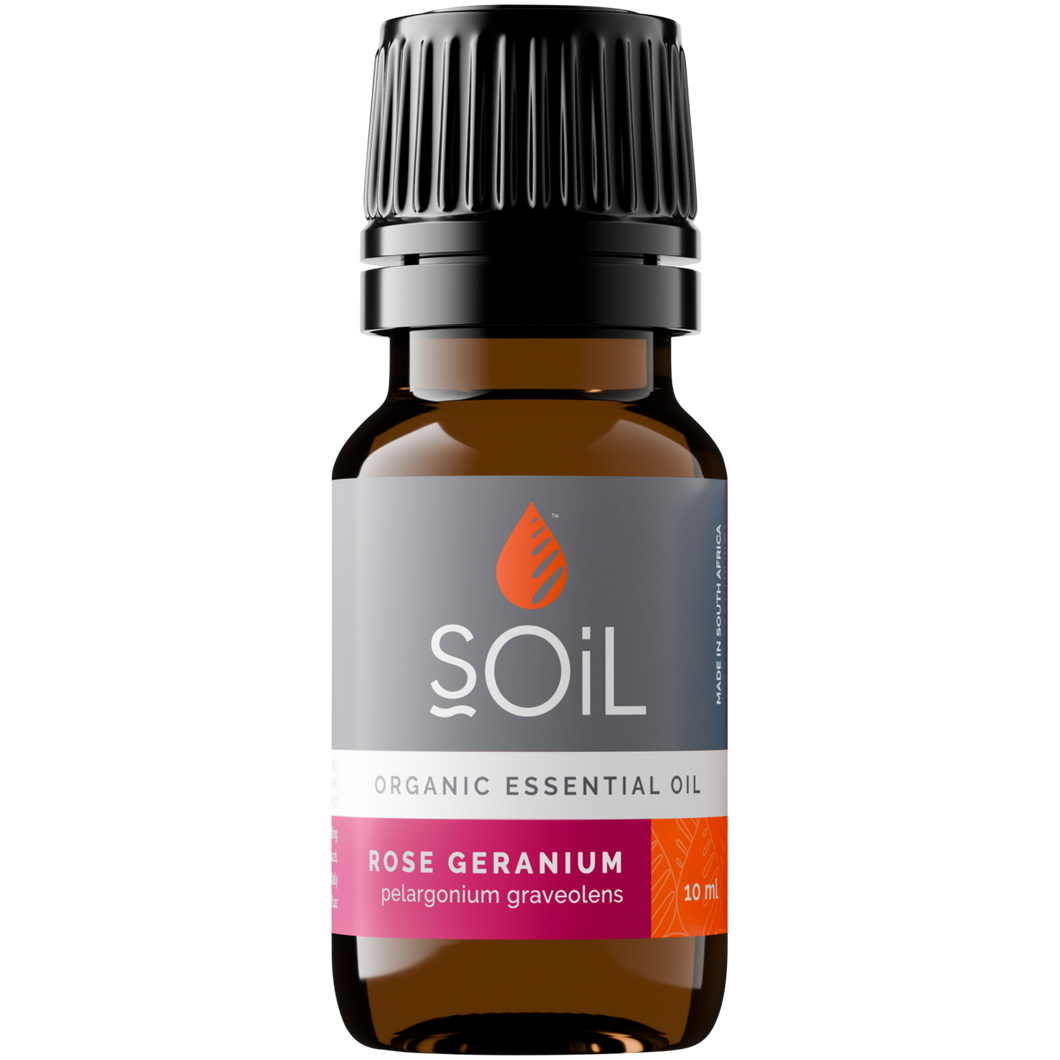 Organic Rose Geranium Essential Oil (Pelargoneum Graveolens) 10ml