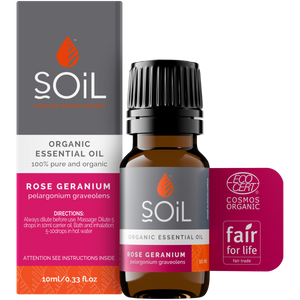 Organic Rose Geranium Essential Oil (Pelargoneum Graveolens) 10ml