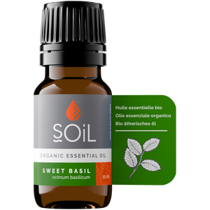 Organic Basil Essential Oil (Ocimum Basilicum) 10ml