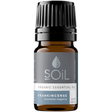 Organic Frankincense Essential Oil (Boswellia Neglecta) 5ml