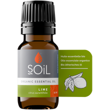 Organic Lime Essential Oil (Citrus Aurantifolia) 10ml