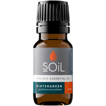 Organic Wintergreen Essential Oil (Gaulteria Procumbens) 10ml