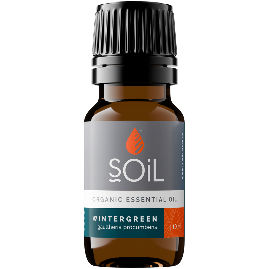 Organic Wintergreen Essential Oil (Gaulteria Procumbens) 10ml