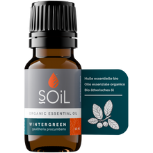 Organic Wintergreen Essential Oil (Gaulteria Procumbens) 10ml