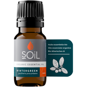 Organic Wintergreen Essential Oil (Gaulteria Procumbens) 10ml