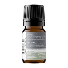 Myrrh Oil Conventional (Commiphora Myrrha) 5ml